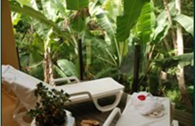 ****  Palmas Hotel & Spa Говернадор-Селсу-Рамус Бразилия