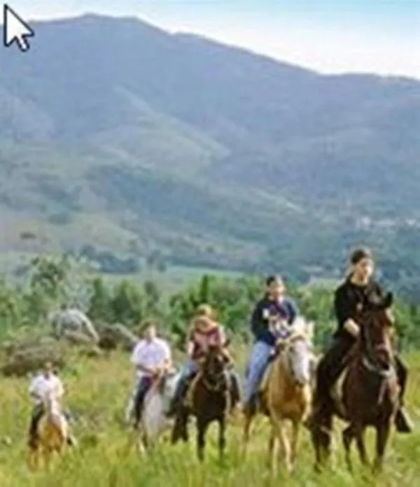 ****  Palmas Hotel & Spa Говернадор-Селсу-Рамус Бразилия